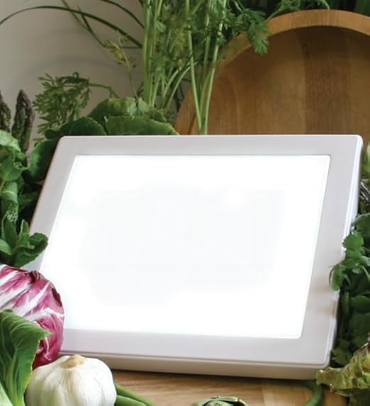 Bug Checker Max Pro | Bug Inspection | Kosher Innovations