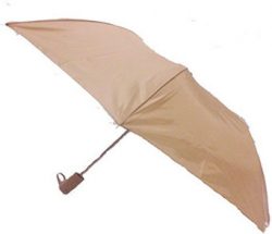 Ladies Folding Umbrella Assorted Color Cloud Nine