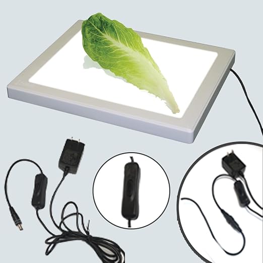 Bug Checker Max Pro | Bug Inspection | Kosher Innovations