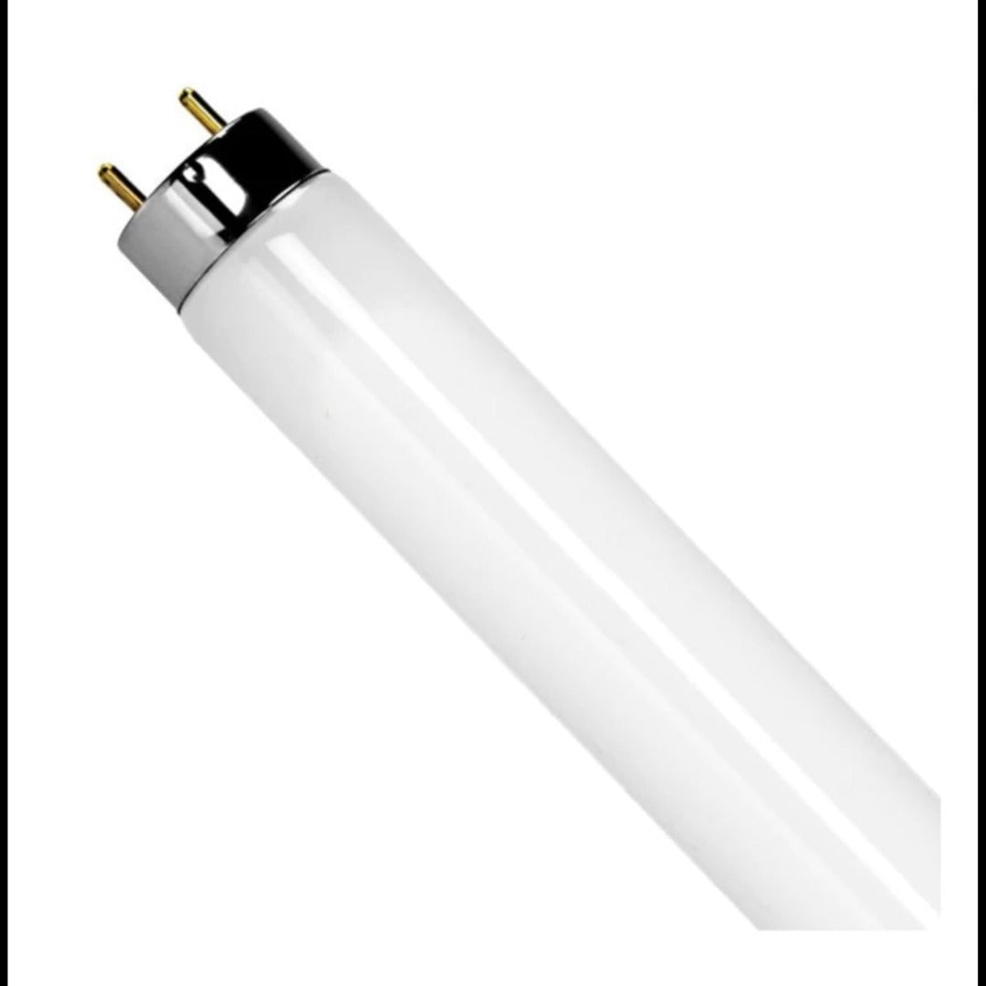 4FT T8 Fluorescent Bulb Daylight