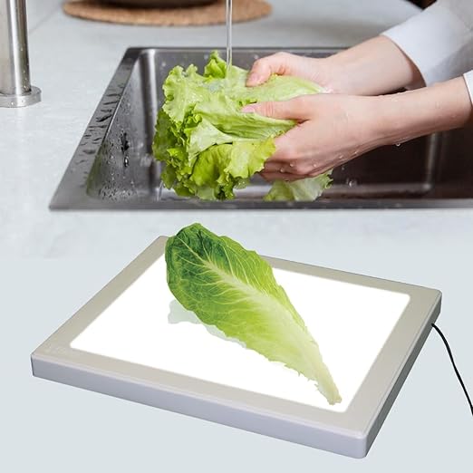 Bug Checker Max Pro | Bug Inspection | Kosher Innovations