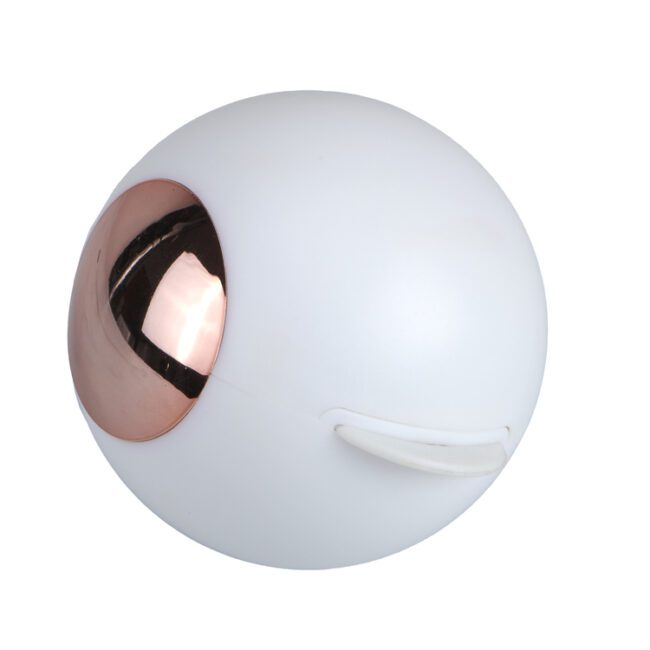 Lint Roller Gel Evercare