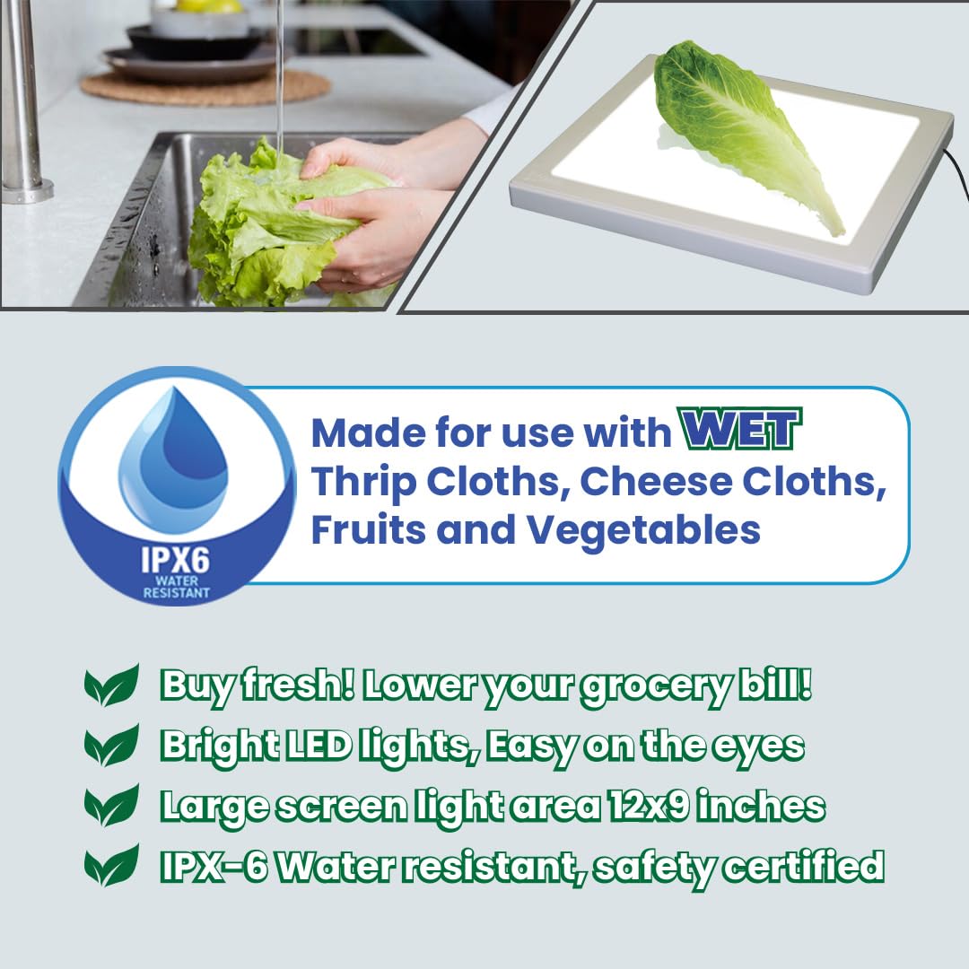 Bug Checker Max Pro | Bug Inspection | Kosher Innovations