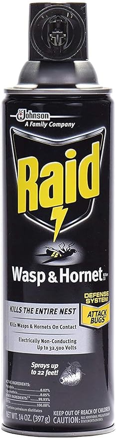 Raid Wasp & Hornet Spray