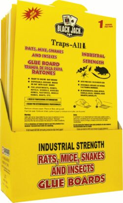 Traps All Glue Board 14" x 9" Black Jack
