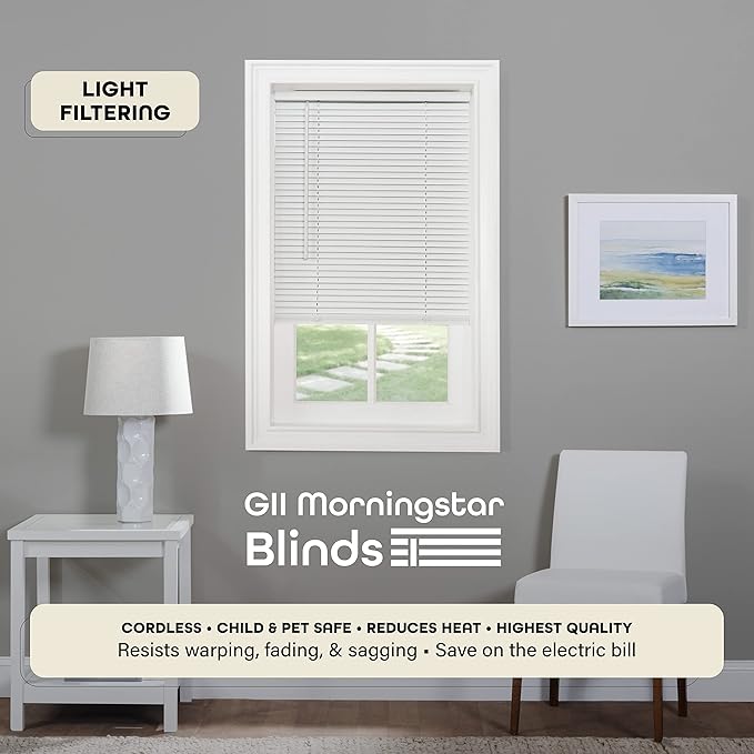 White Mini Blind 38" x 64"