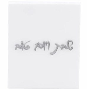 Large Light Switch Cover W/SLV