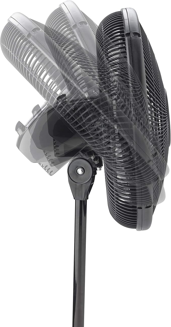Oscillating Pedestal Fan (16") 3 Speed Black Lasko