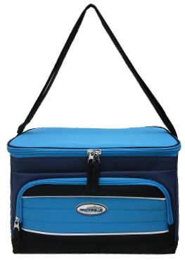 Insulated Bag 12 Can Cooler