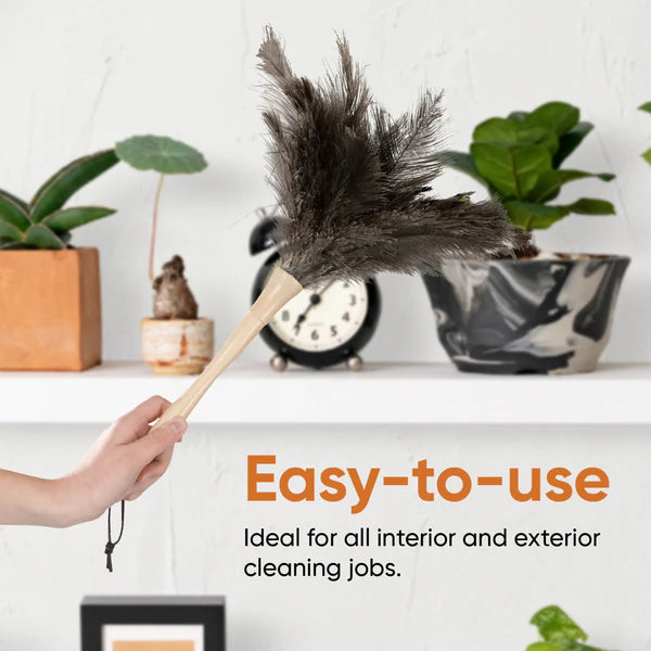 Ostrich Feather Duster Superio