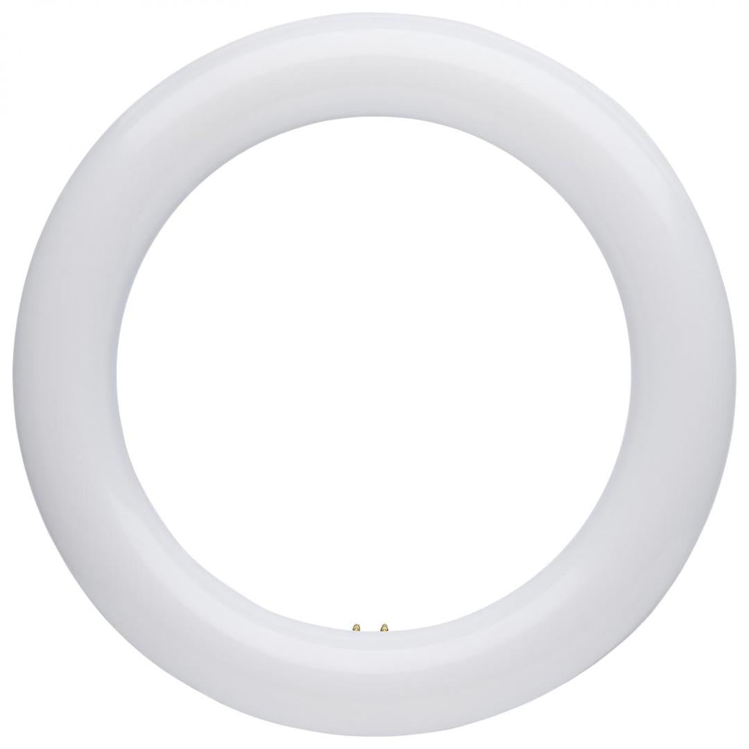 LED Circline 8" Color Selectable