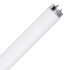 4FT T8 Fluorescent Bulb Cool White