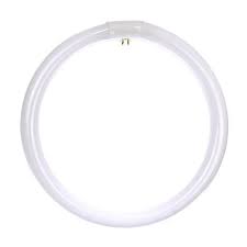 Circline Bulb 12" Cool White Sunlite