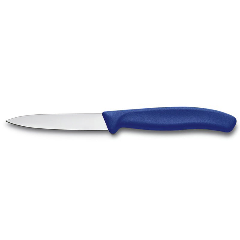 Victorinox Knife 3.25" Straight Edge Pointy Knife