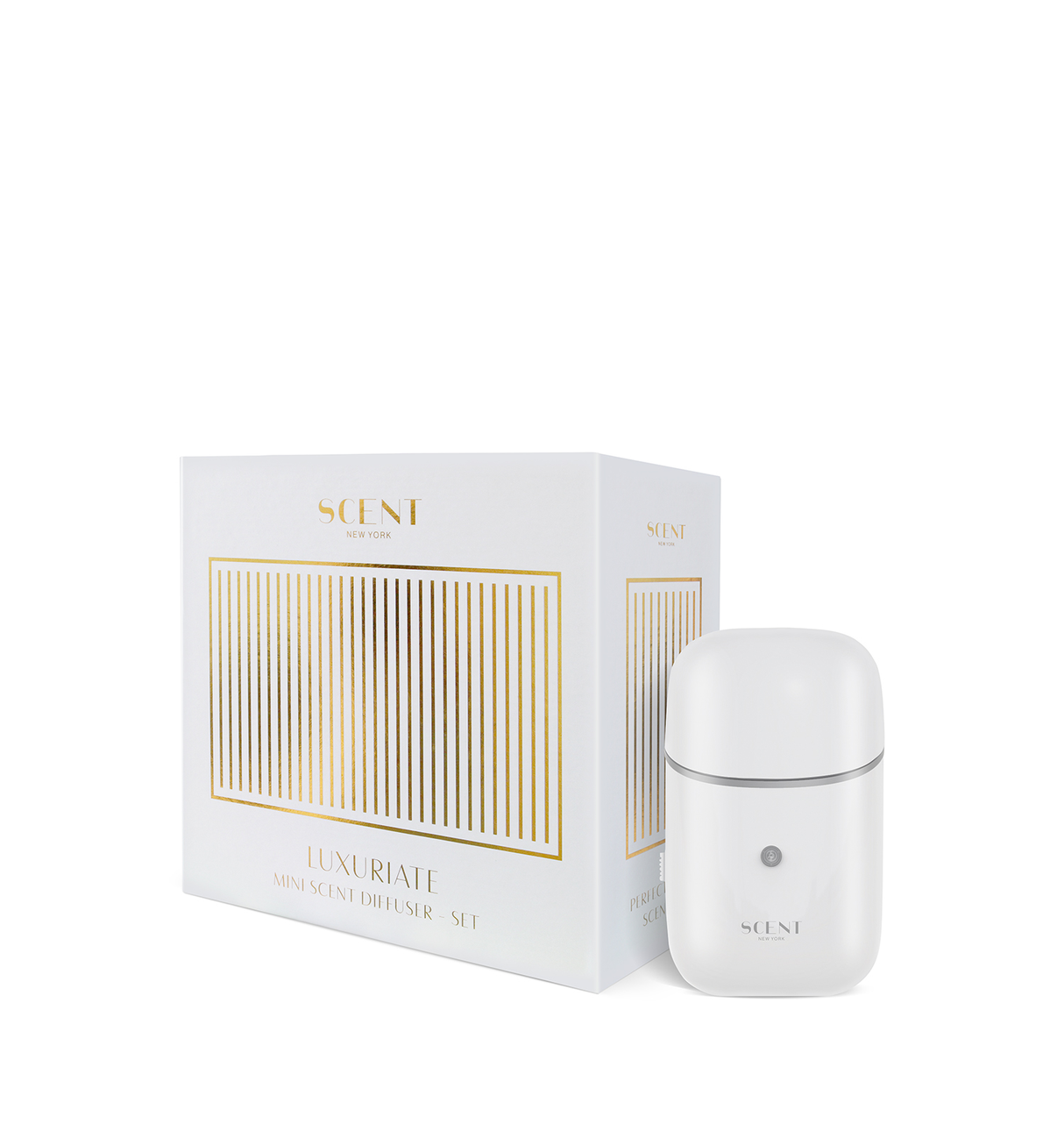 Mini Scent Diffuser Set (White Flower)