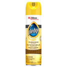 Polish & Shine Multi Surface Pledge