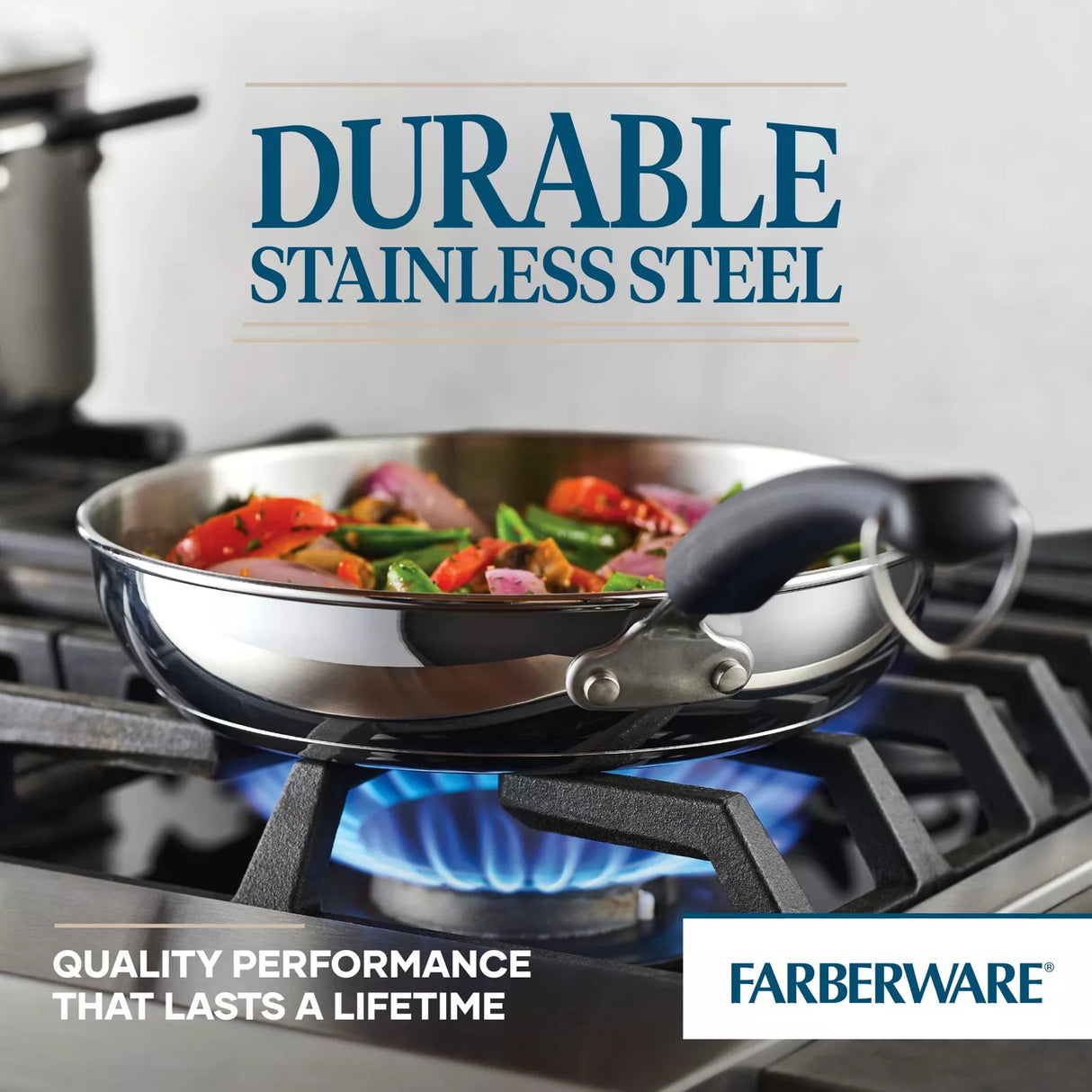 Stainless Steel Fry Pan 10in