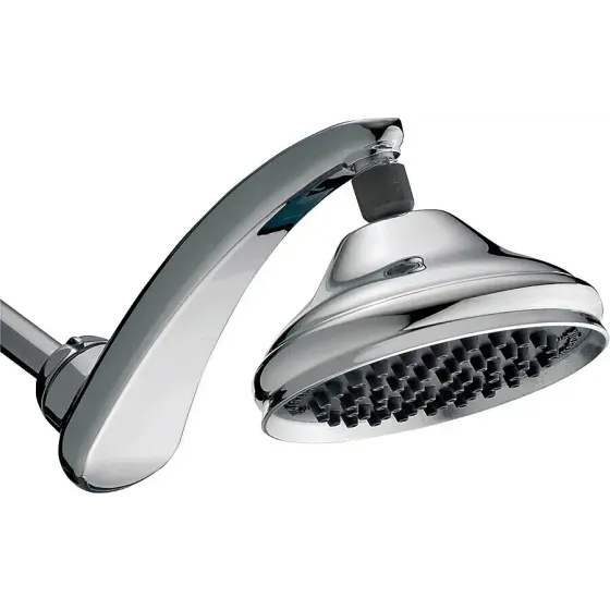 RainFall Shower Head Waterpik