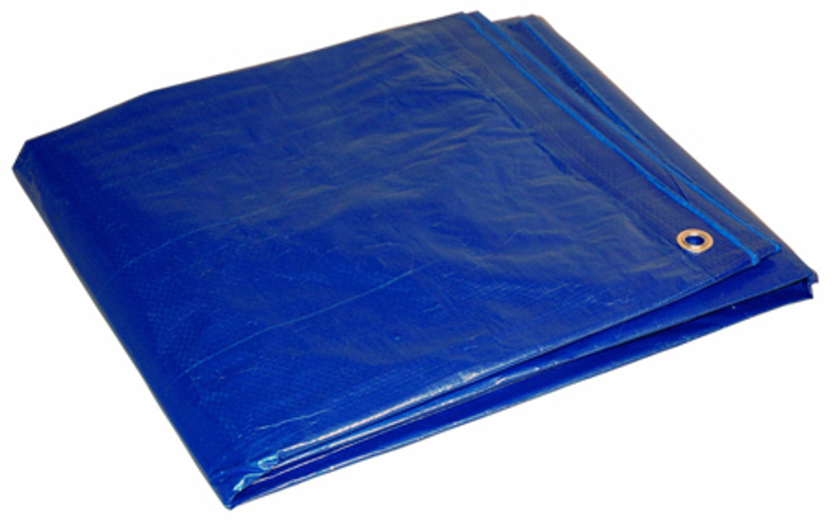 Blue Tarp 8FT X 10FT