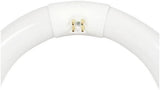 Circline Bulb 8" Cool White