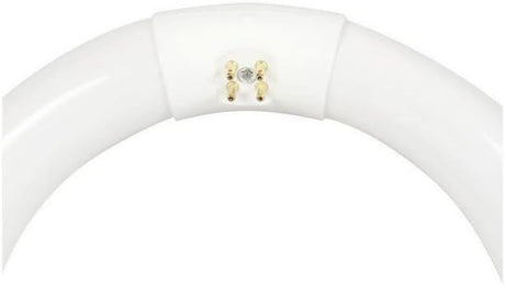 Circline Bulb 8" Cool White