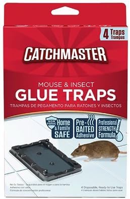 Glue Traps Small Catchmaster