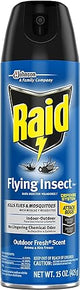 Flying Insect Raid