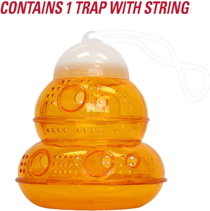 Yellow Jacket & Wasp Trap Pic