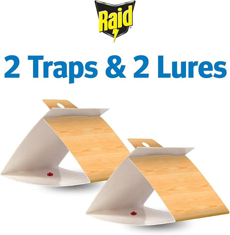 Pantry & Flour Moth Trap Raid