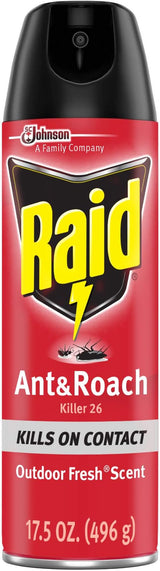 Ant & Roach Raid