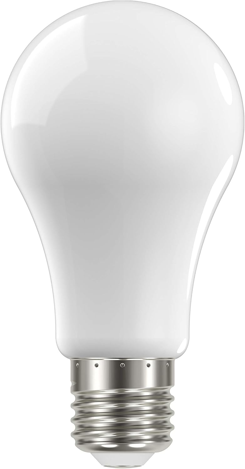 LED White Bulb 100W 3000K