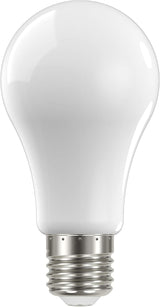 LED White Bulb 100W 3000K