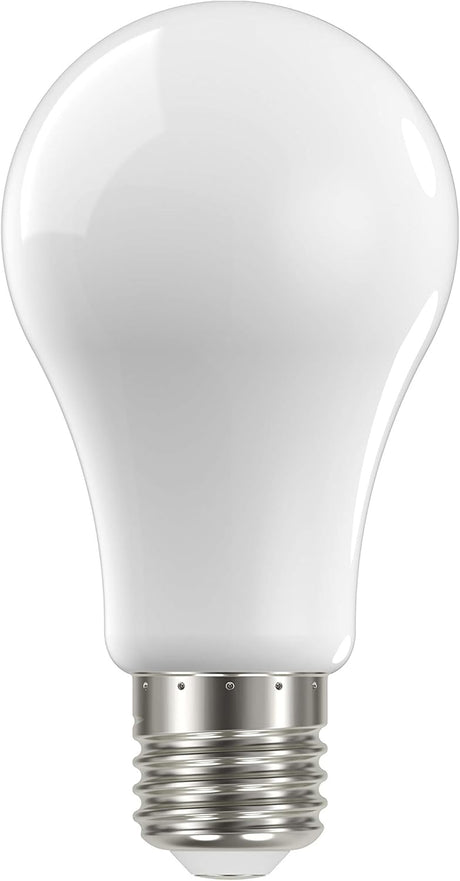 LED White Bulb 100W 3000K
