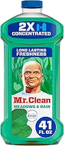 Mr. Clean Meadows & Rain Febreze