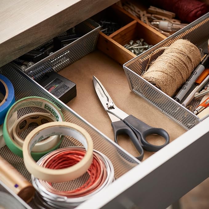 Take Apart Scissors Fiskars