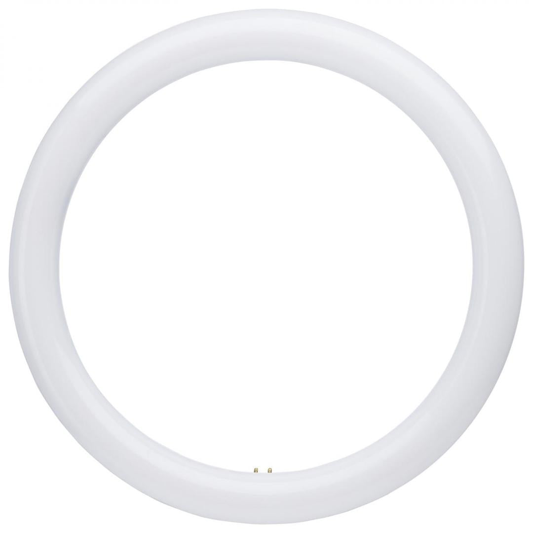 LED Circline Bulb 12" Color Selectable