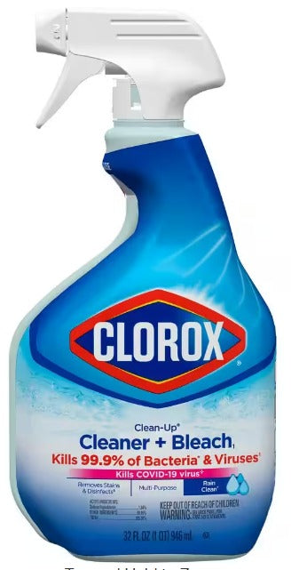 Clean Up 24oz Clorox