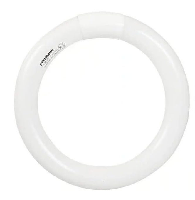 Circline Bulb 8" Cool White