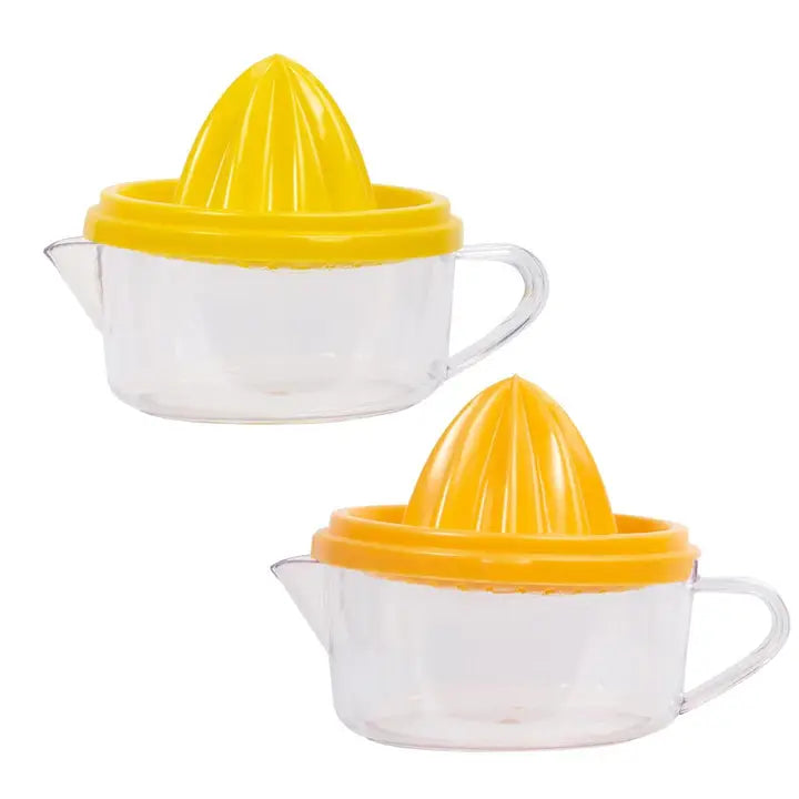 Fruit Juicer