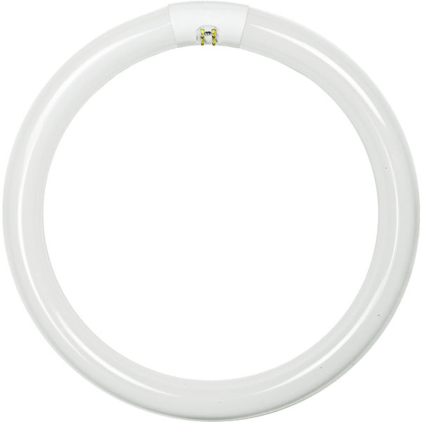 Circline Bulb 12" Cool White Satco