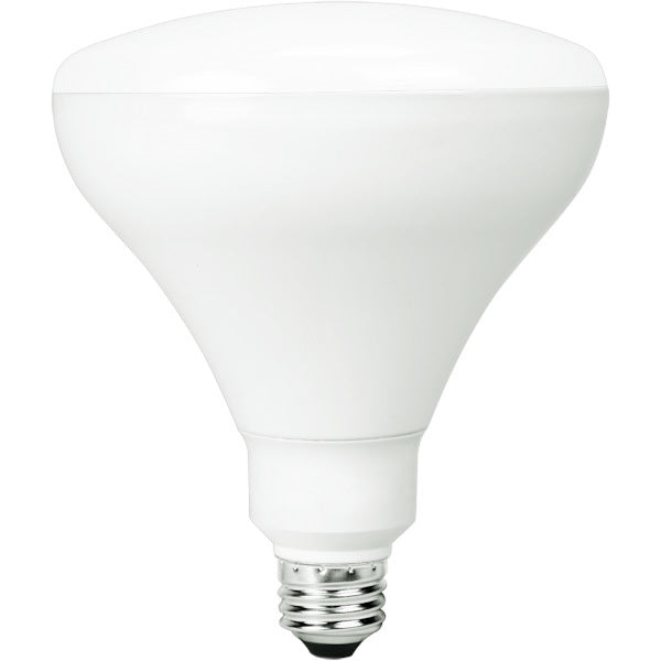 BR40 Bulb Super White 100W Goodlite