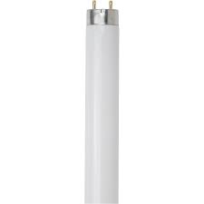 4FT Bulb F32T8/841 Sunlite