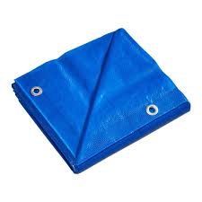 Blue Tarp 20' x 30'