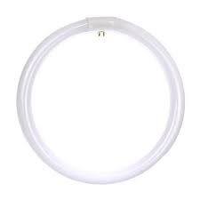 Circline Bulb 12" Daylight Satco