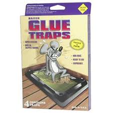 Glue Traps 4PK Dead End