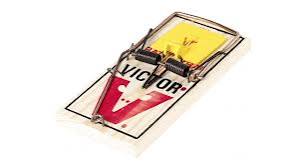 Easy Set Rat Trap Victor
