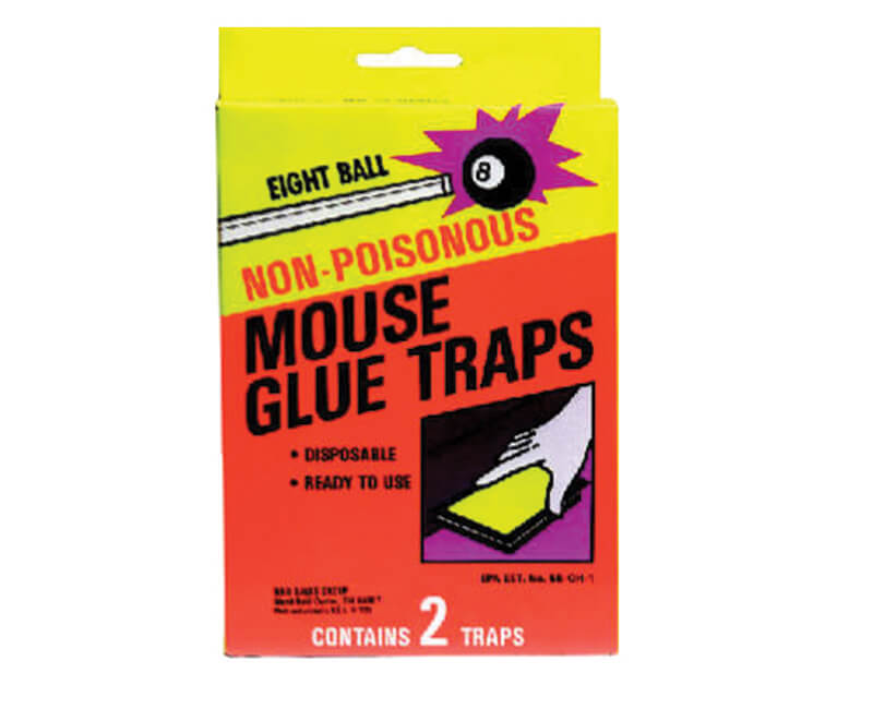 Mouse Glue Traps Eight Ball