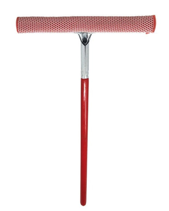 Squeegee w/Handle 20"