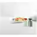Glass Salt and Pepper Shaker | 3.25" | Green | Trudeau
